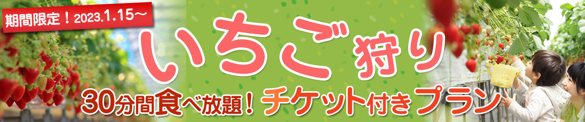 2023いちご狩り