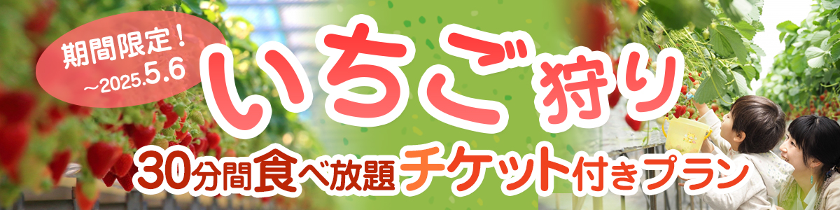イチゴ狩り
